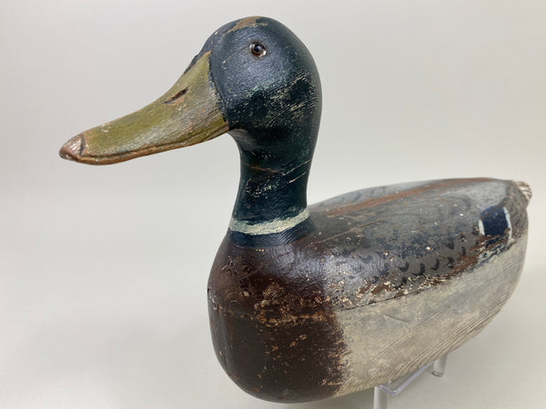Illinois River Mallard Drake (#9805)