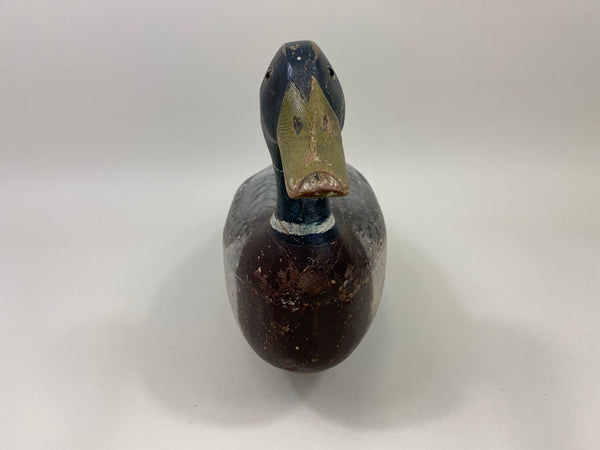 Illinois River Mallard Drake (#9805)