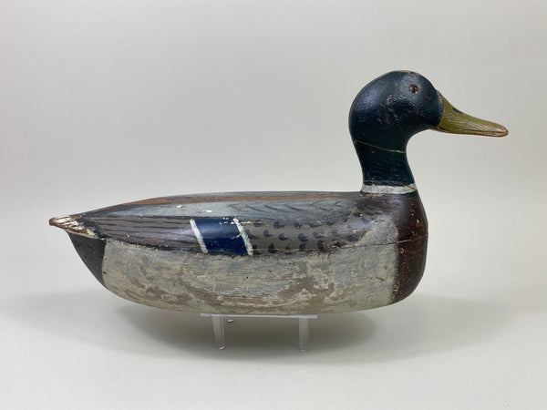 Illinois River Mallard Drake (#9805)