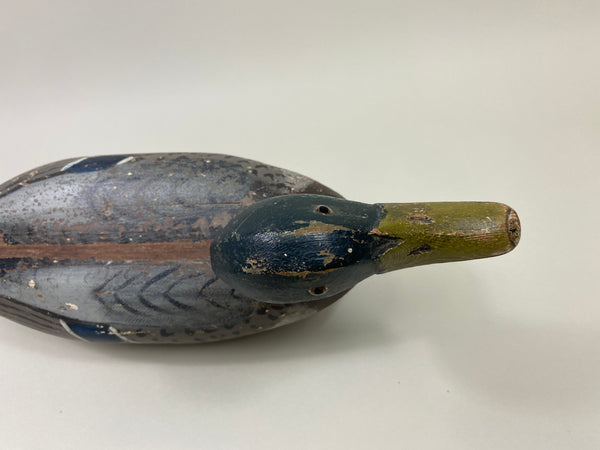 Illinois River Mallard Drake (#9805)