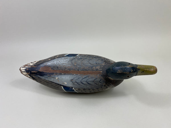 Illinois River Mallard Drake (#9805)