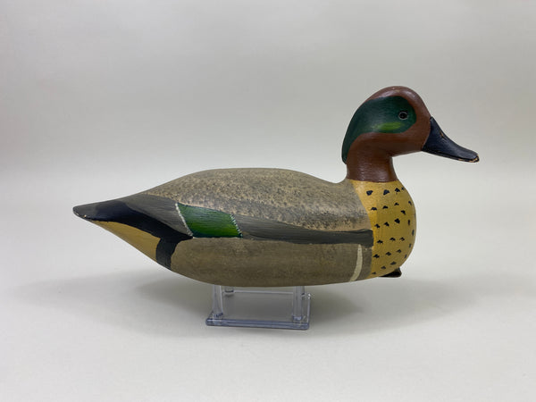 H. V. Shourds III Green-Wing Teal Drake (#9813)