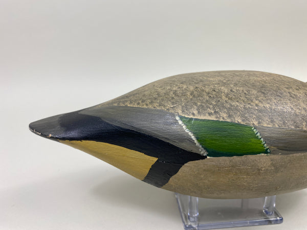 H. V. Shourds III Green-Wing Teal Drake (#9813)