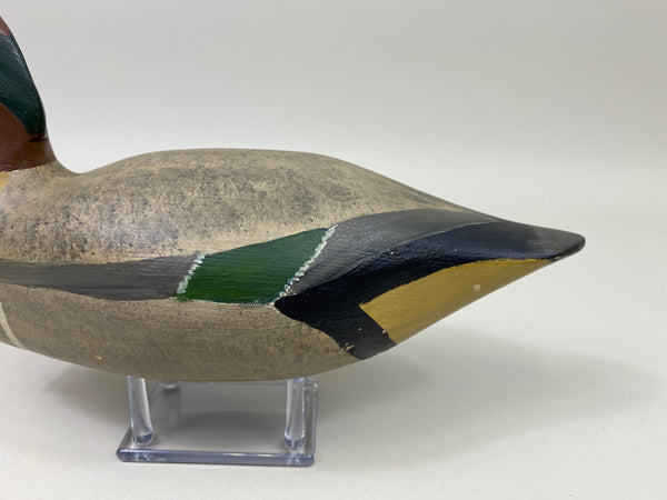 H. V. Shourds III Green-Wing Teal Drake (#9813)
