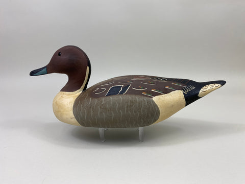Herter's 1893 Series Pintail Drake (#9834)
