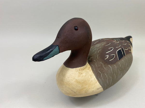 Herter's 1893 Series Pintail Drake (#9834)