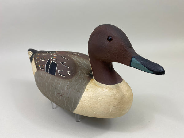 Herter's 1893 Series Pintail Drake (#9834)