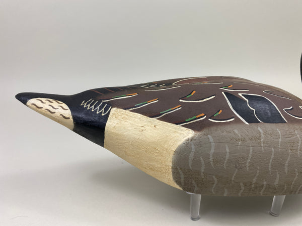 Herter's 1893 Series Pintail Drake (#9834)