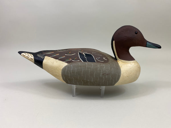 Herter's 1893 Series Pintail Drake (#9834)