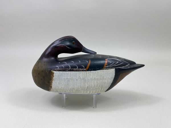 Randy Mayer Preening Green Wing Teal Drake, Perdew Style (#9844)