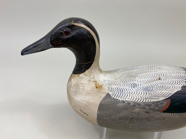 Charlie Moore Half Size Pintail Drake (#9889)