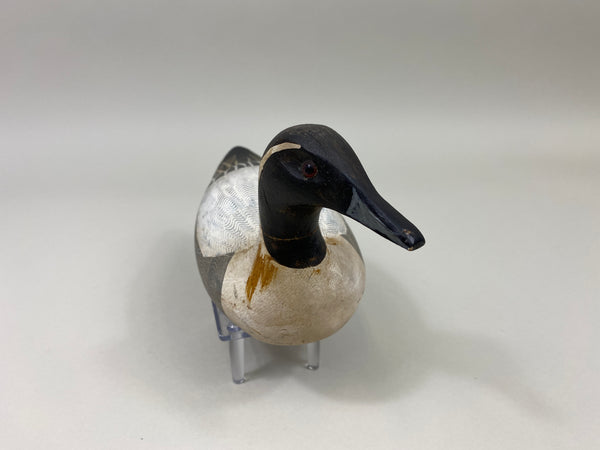 Charlie Moore Half Size Pintail Drake (#9889)