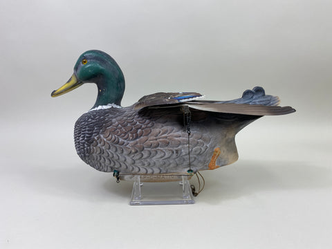 Flap-O-Matic Mallard Drake, All Original (#9898)
