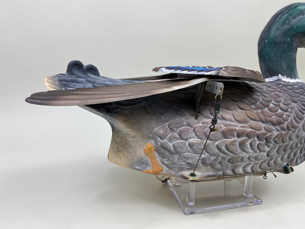 Flap-O-Matic Mallard Drake, All Original (#9898)