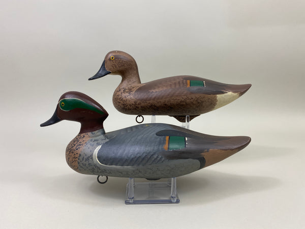 Maryland Pair of Green Wing Teal (#9908)