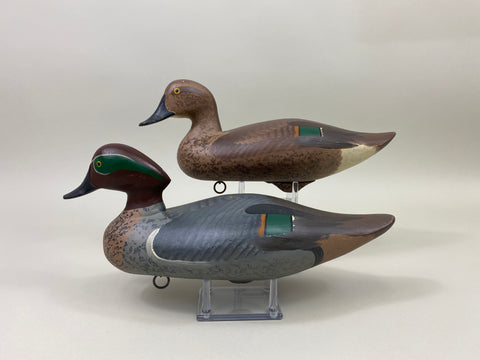Maryland Pair of Green Wing Teal (#9908)