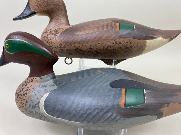 Maryland Pair of Green Wing Teal (#9908)