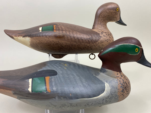 Maryland Pair of Green Wing Teal (#9908)