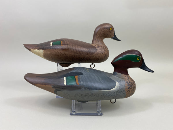 Maryland Pair of Green Wing Teal (#9908)