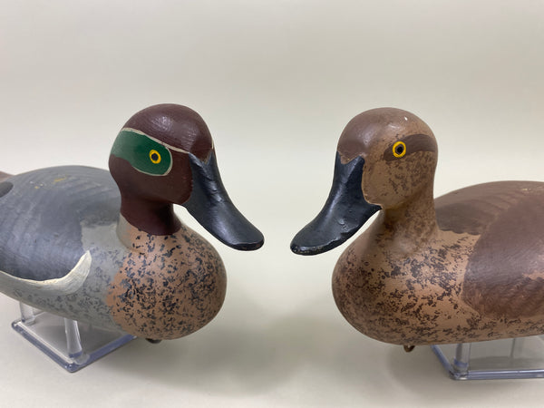 Maryland Pair of Green Wing Teal (#9908)