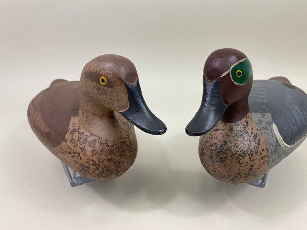 Maryland Pair of Green Wing Teal (#9908)