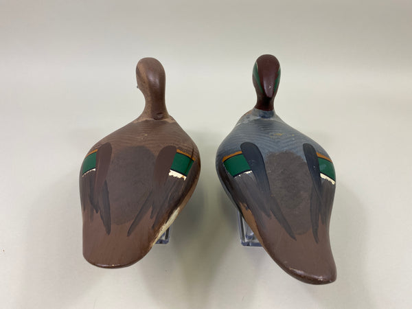Maryland Pair of Green Wing Teal (#9908)