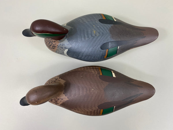 Maryland Pair of Green Wing Teal (#9908)