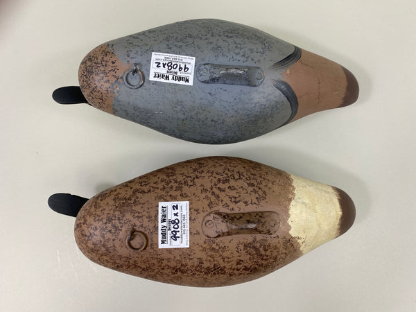 Maryland Pair of Green Wing Teal (#9908)