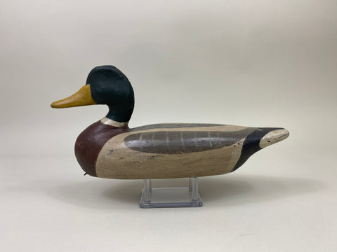 Perry Wilcoxen Mallard Drake (#9992)