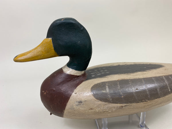 Perry Wilcoxen Mallard Drake (#9992)