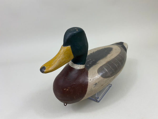 Perry Wilcoxen Mallard Drake (#9992)