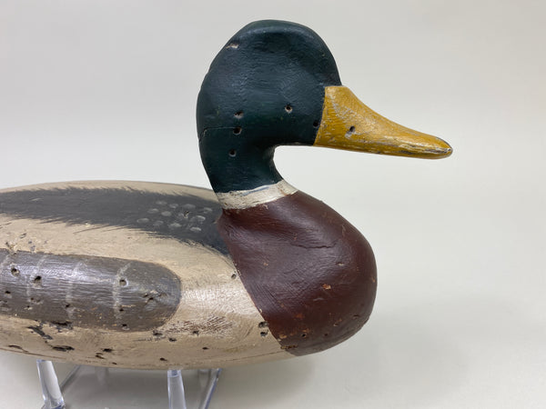 Perry Wilcoxen Mallard Drake (#9992)