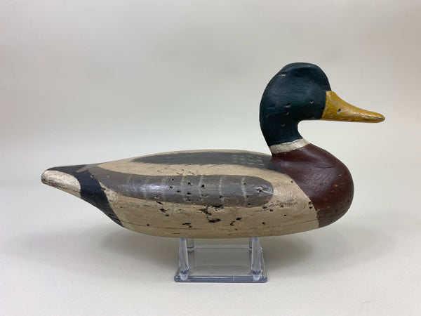 Perry Wilcoxen Mallard Drake (#9992)