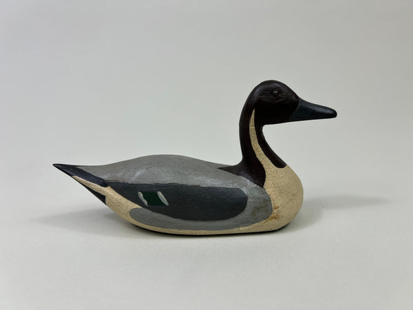 Unknown Midwest Miniature Pintail Drake (#4856)