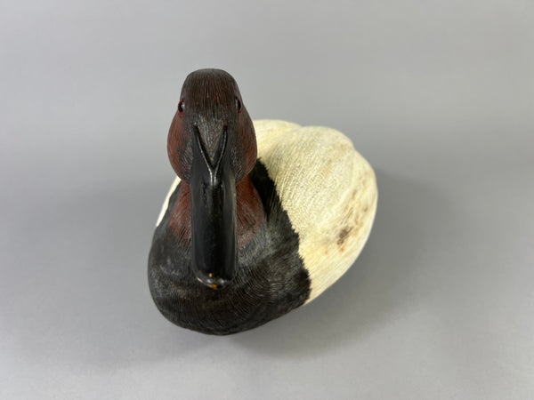 Donna Tonelli Hand Carved Canvasback Drake (#9275)