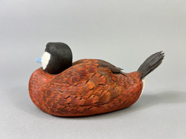 Mike & Nancy Scherer Turned Head Ruddy Duck (#8449)