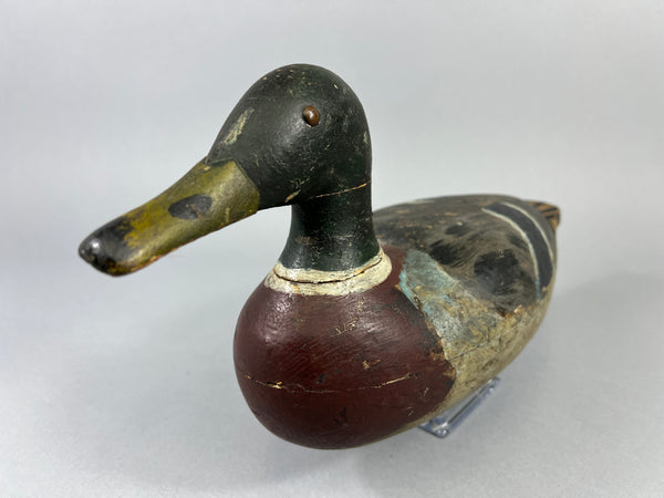 Unknown Early Illinois River Mallard Drake, Circa 1920’s (#181)