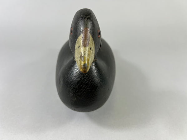 Pratt Factory Coot (#8028)