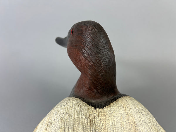Donna Tonelli Hand Carved Canvasback Drake (#9275)