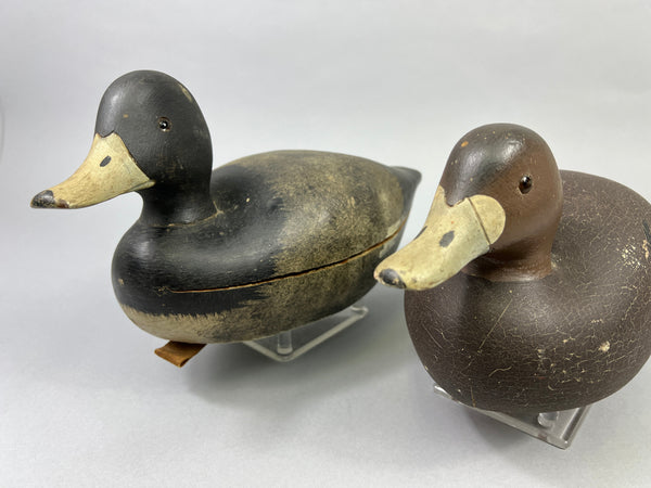 Keyes Chadwick Pair of Bluebills, Original Paint (#4847)