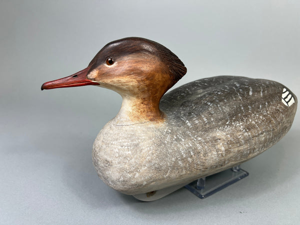 Peter Valkavich, Sr.  Red Breasted Merganser Hen (#2111)