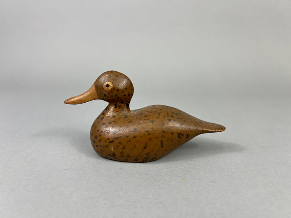 Unknown Mini Wisconsin Mallard Hen (#4169)