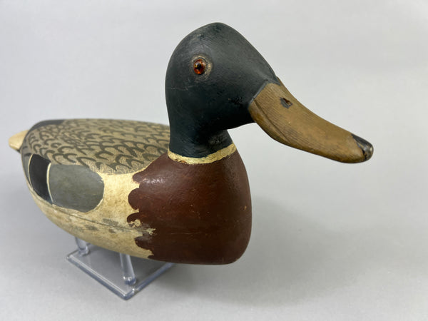 Roy Hancock Mallard Drake (#8485)