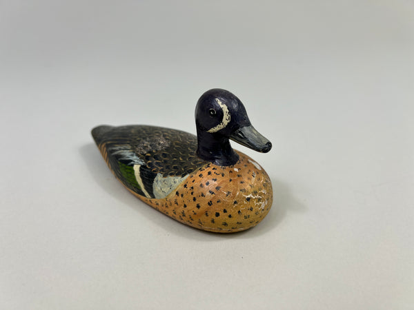 D. Ward Third Size Blue Wing Teal (#2367)
