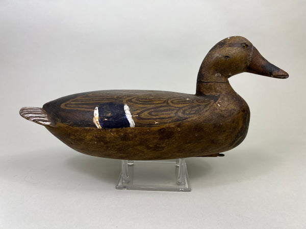 Henry Holmes Mallard Hen, Redshaw Repaint (#5029)