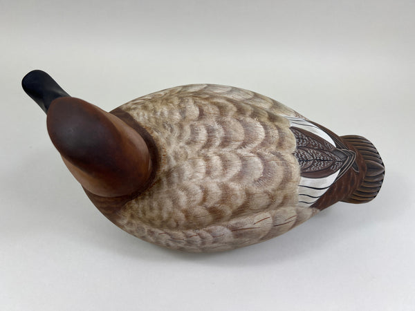 Clint Taylor Wooden Canvasback Hen (#5265)