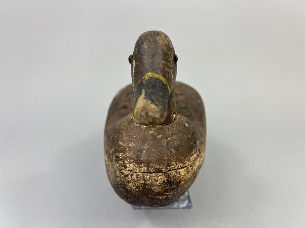 Unknown Illinois River Teal Drake (#1070)