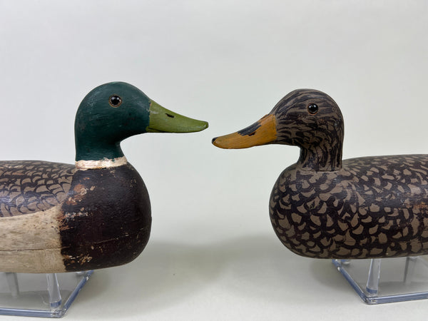 Schoenheider, Jr. 2/3 size Mallards Pair, Circa 1950 (#3856)