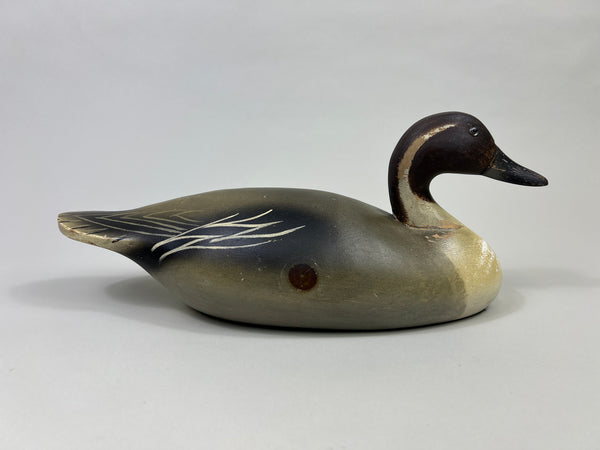 Wildfowler Pintail Drake, Old Saybrook, Rare Pine (#4248)