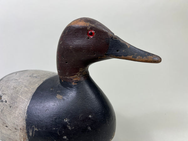 John R. Wells Canvasback Drake, Circa 1920's (#4703)